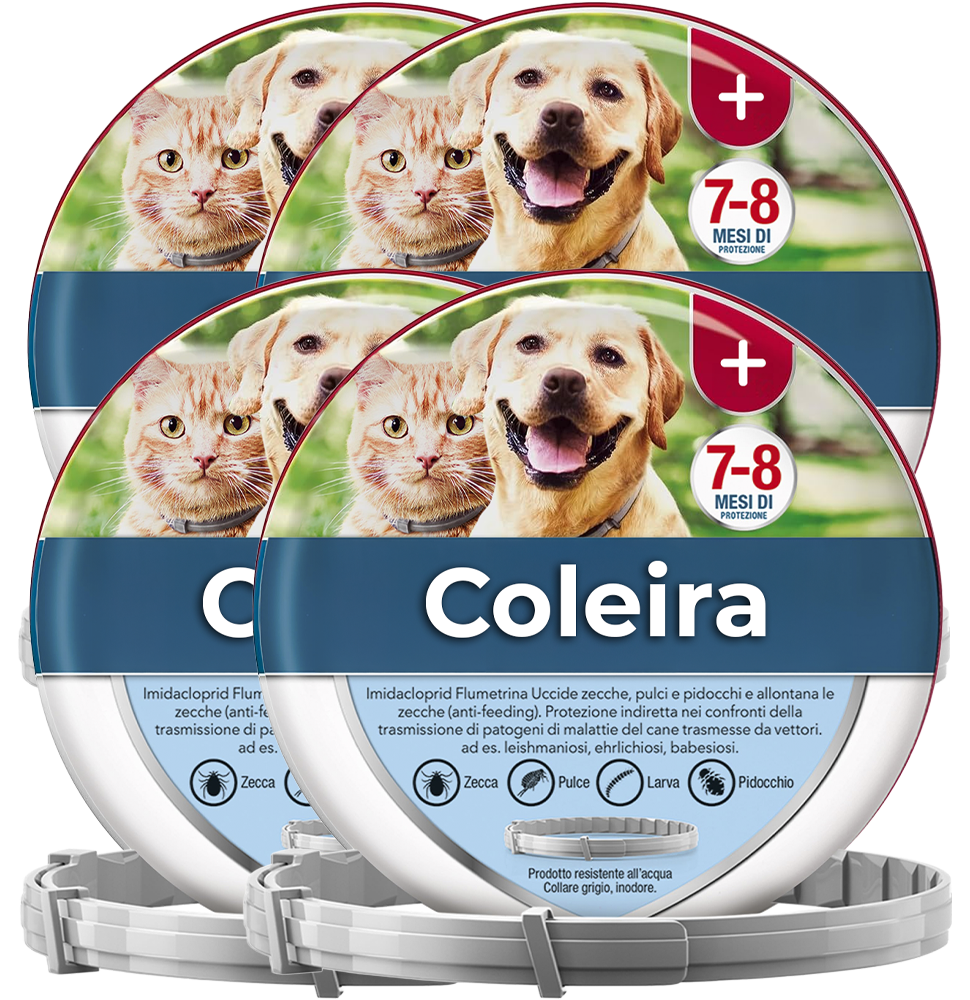 4 Coleiras Antiparasitárias